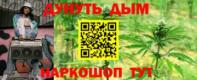 шишки Усть-Илимск